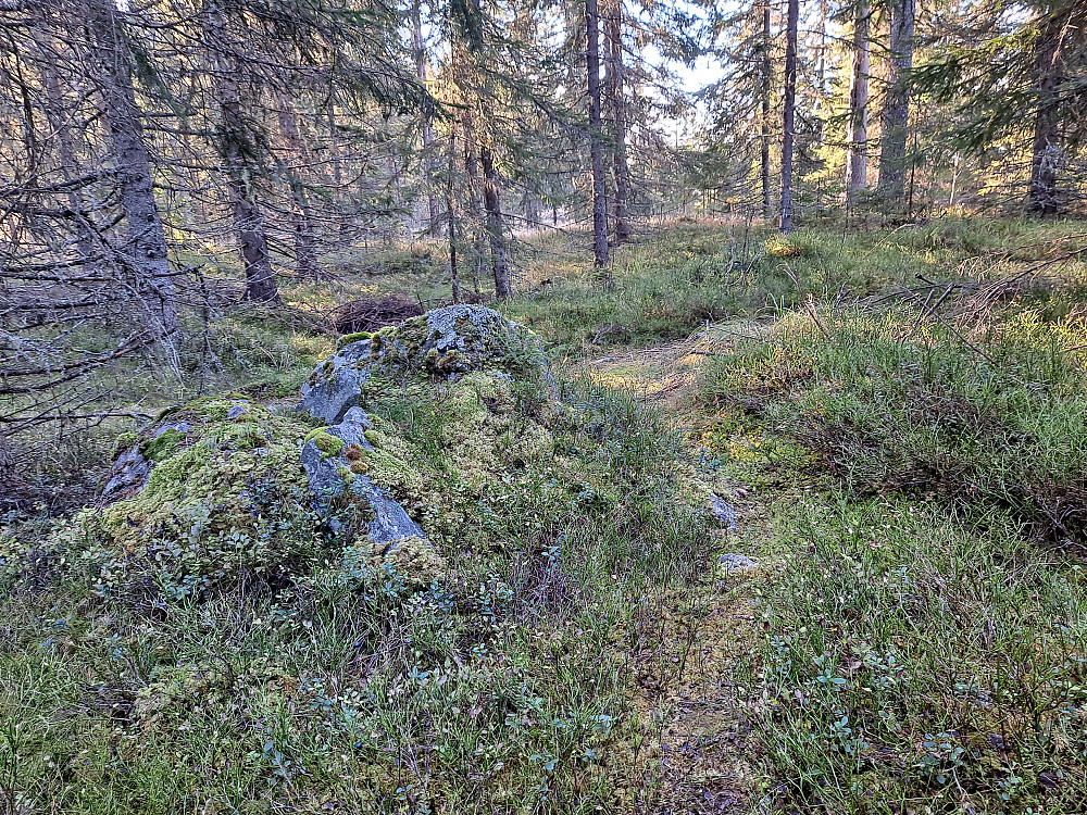 Kanthaugen