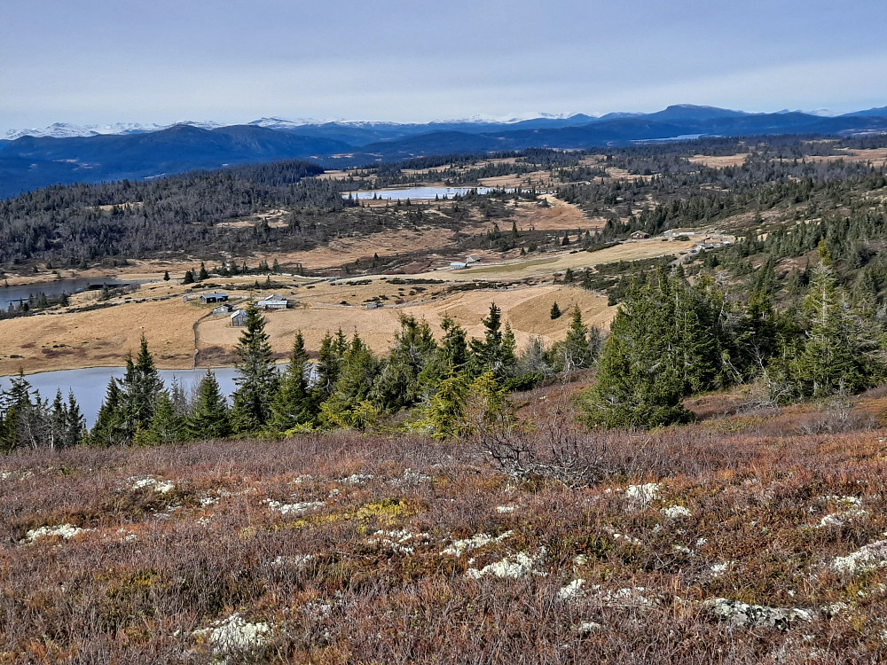 På Toftfjellet, mot Nysetra