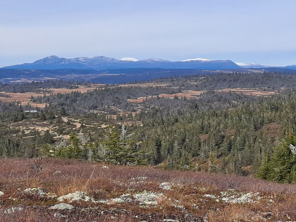 På Toftfjellet