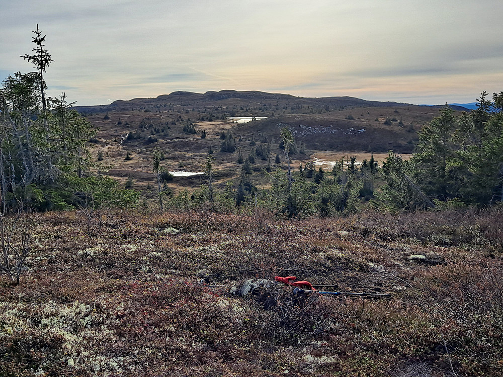 På Toftfjellet
