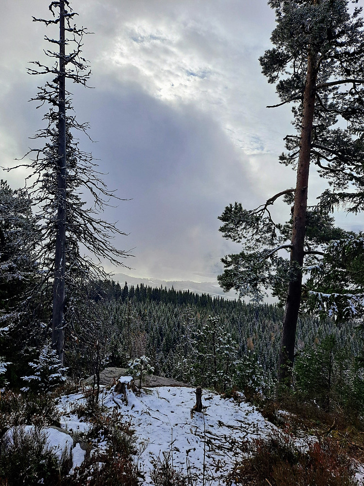 Skimter så vidt Mjøsa ved utsiktspunktet