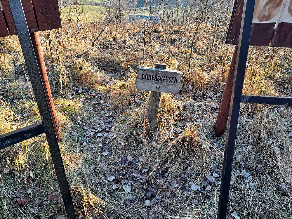 På Dombåshaugen