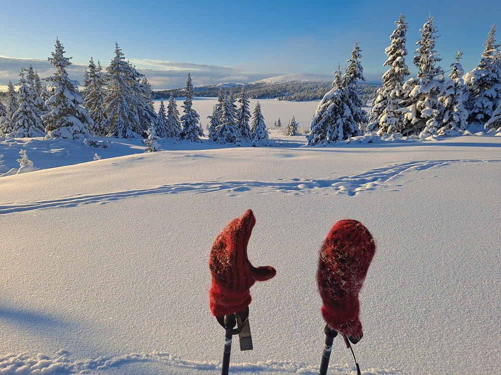 Nevelfjell fra Reinavegen