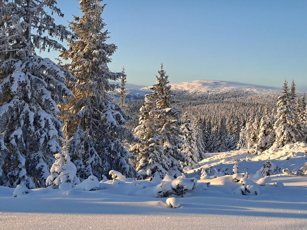 Nevelfjell fra Reinavegen
