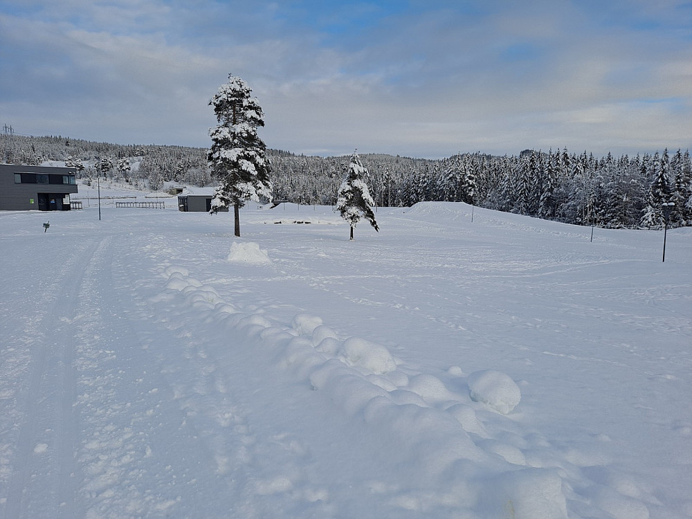 På Birkebeineren