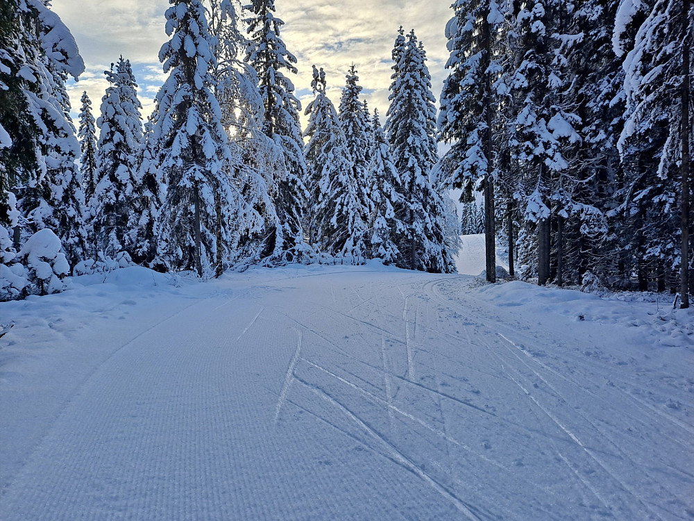 På Kanthaugen