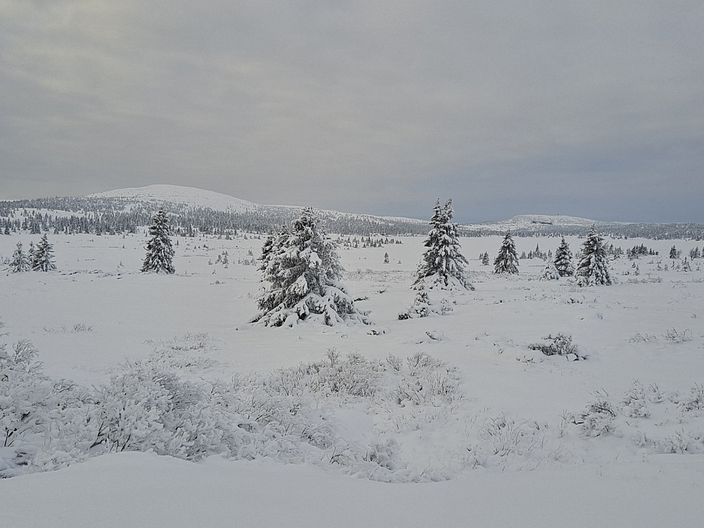 Mot Nevelfjell og Hafjell