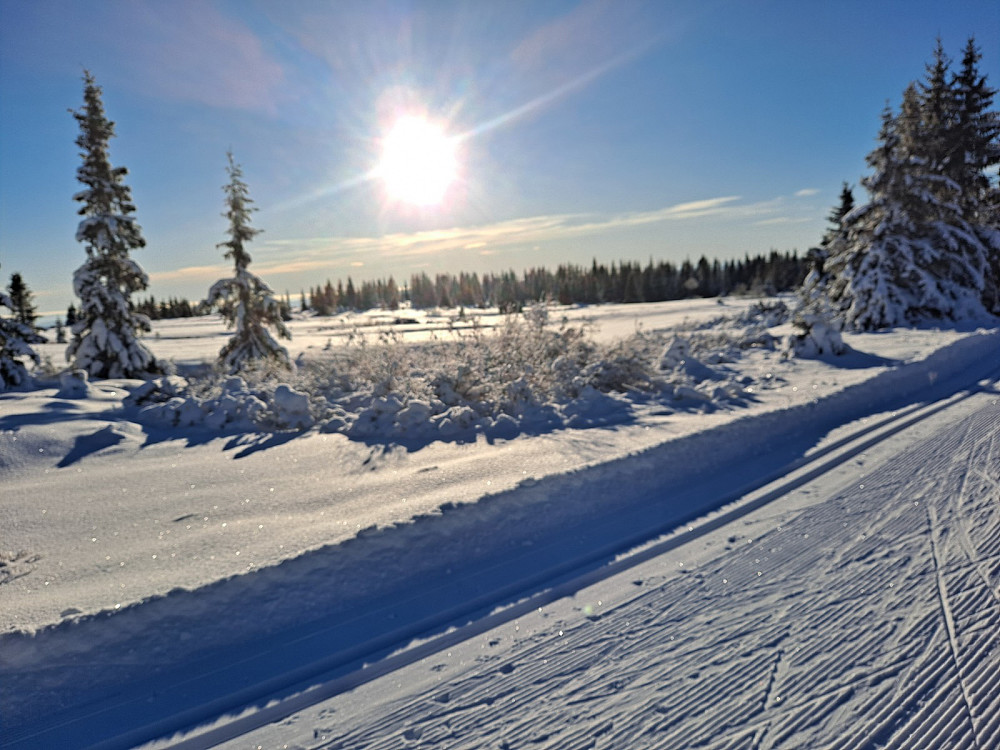 På Nordseter