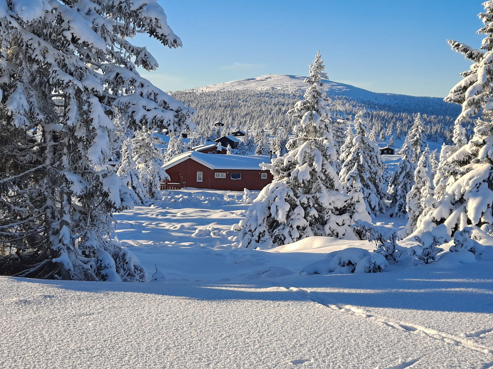 Nevelfjell fra Nevelåsen