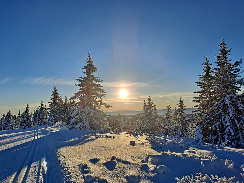 På Snauskallen