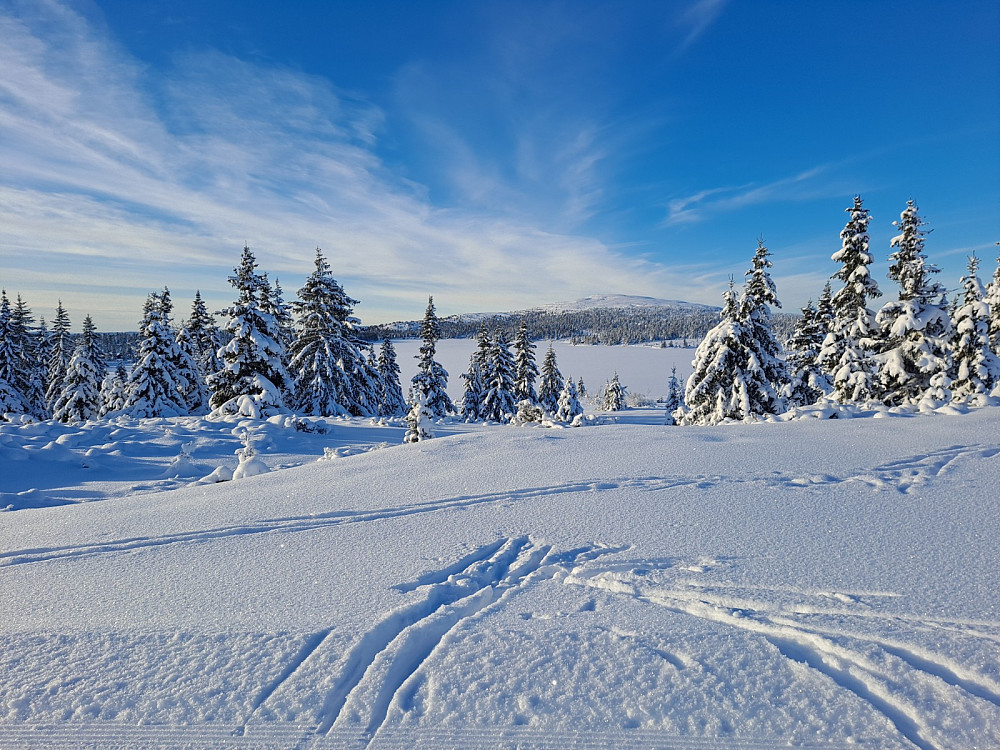 Mot Nevelfjell