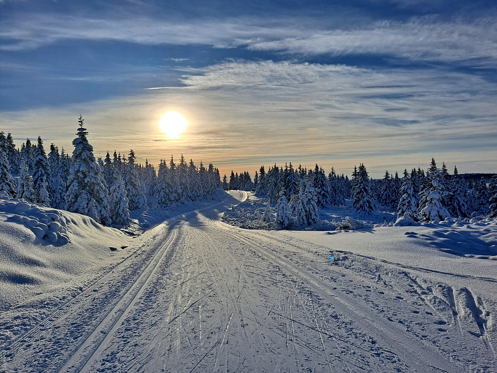 I løypa langs Reinavegen