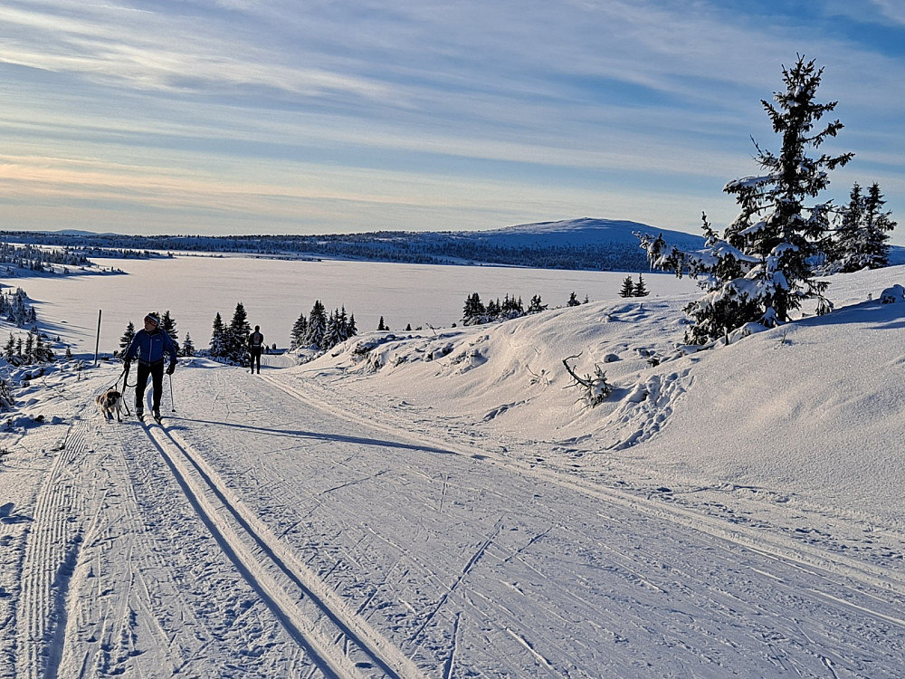 Ved Reinakrysset, mot Nevelfjell