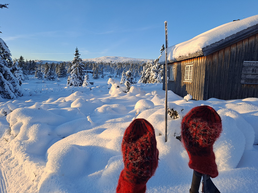 Ved Nevelåsen, mot Nevelfjell