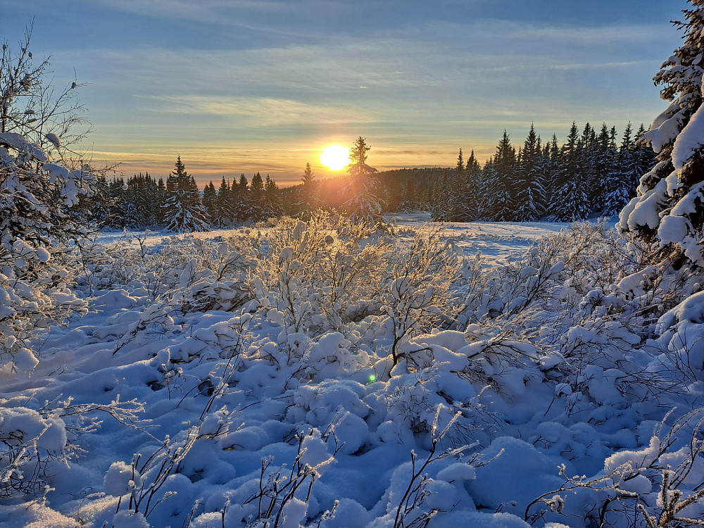 Sola går ned ved Grøtåshaugen