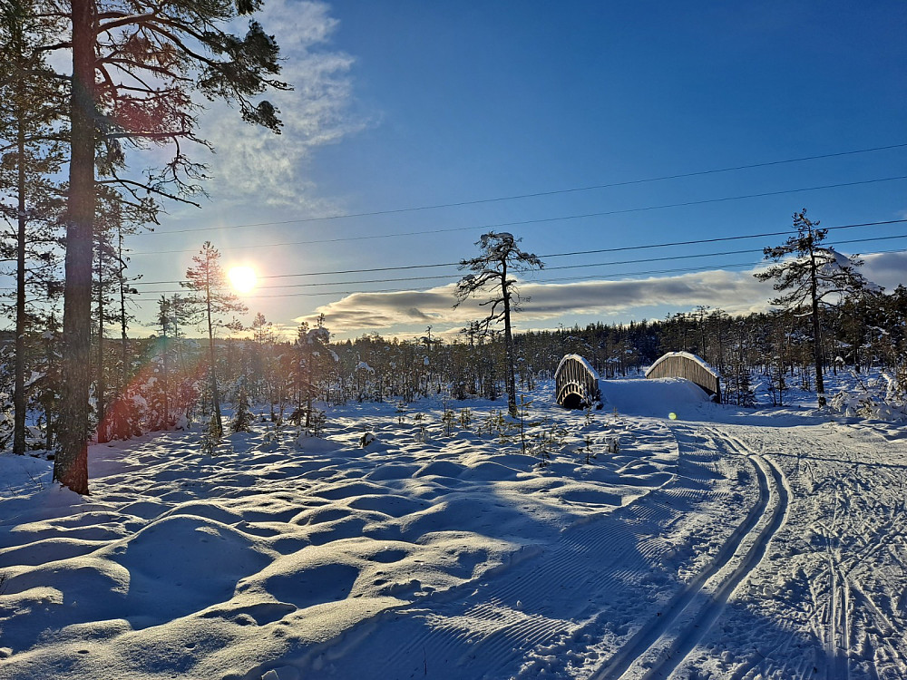 Ved Kubrua