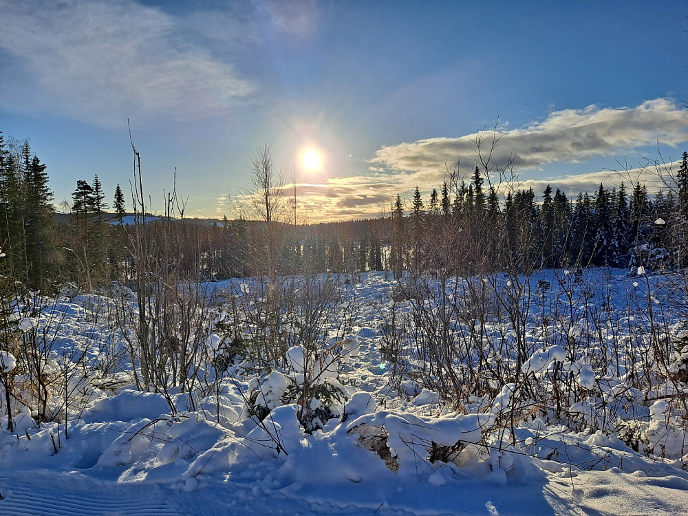I Birkebeinerløypa, sol over Abbortjern