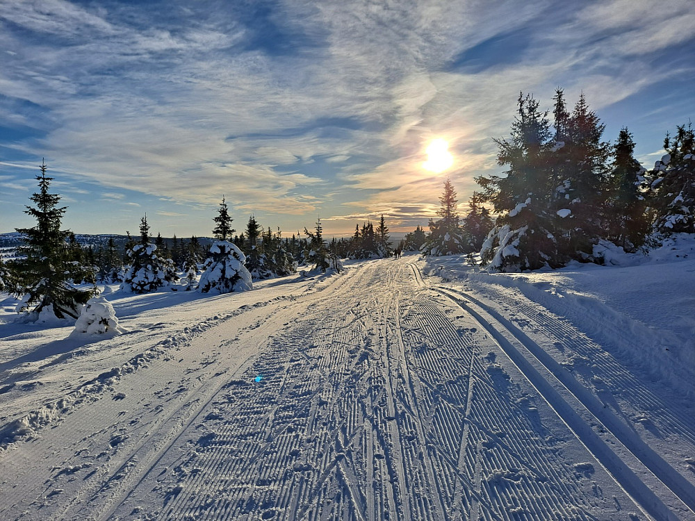 Nord for Nevelvatnet
