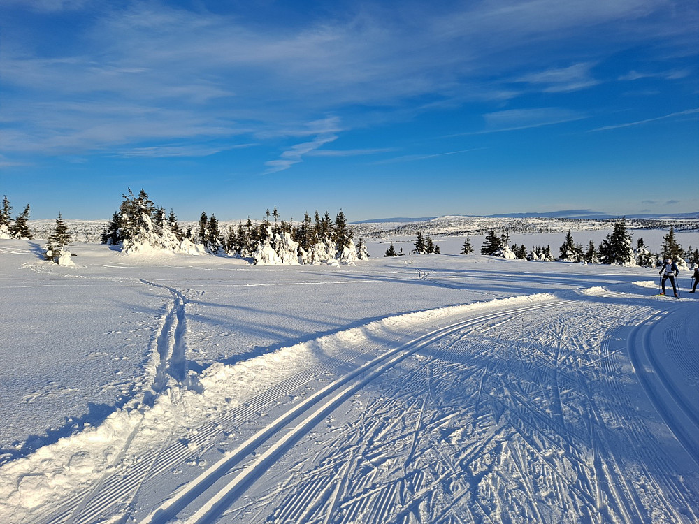 Nord for Nevelvatnet