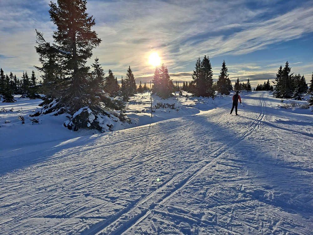 På Snauskallen