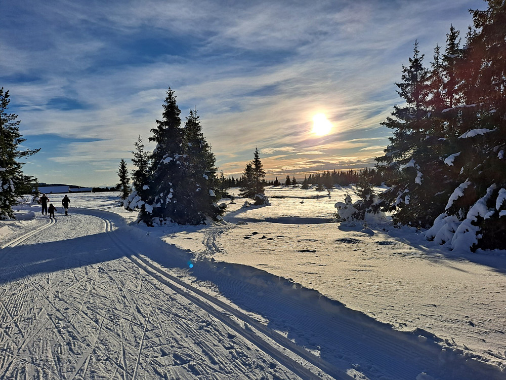 Snart tilbake på Nordseter