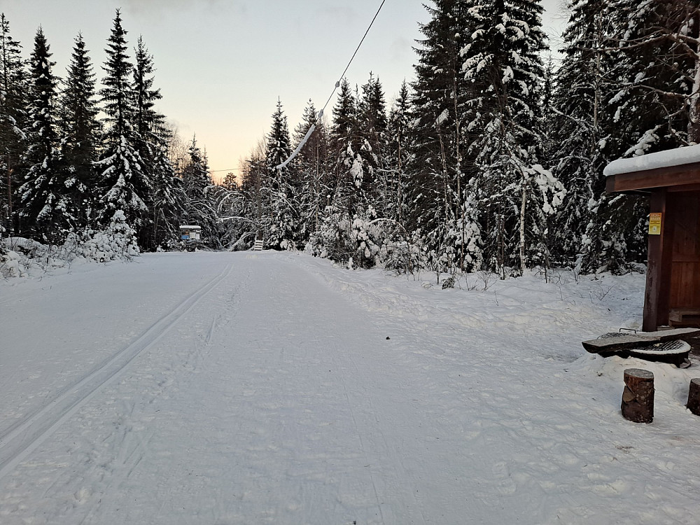 Ved Hammerkoia