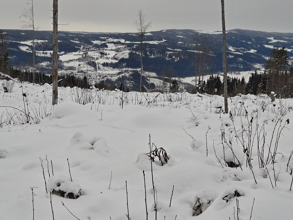 Mot Vingnes og Reistadbakkene fra løypa til Vårsetergrenda