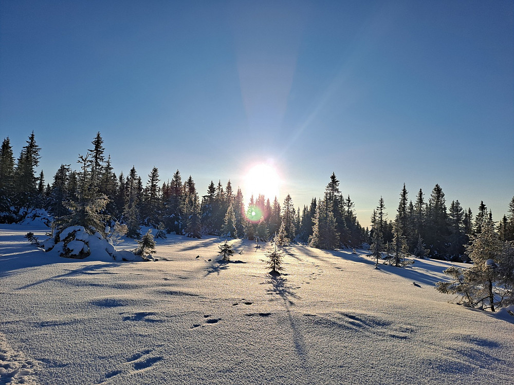 I løypa oppover mot Nordseterfjellet