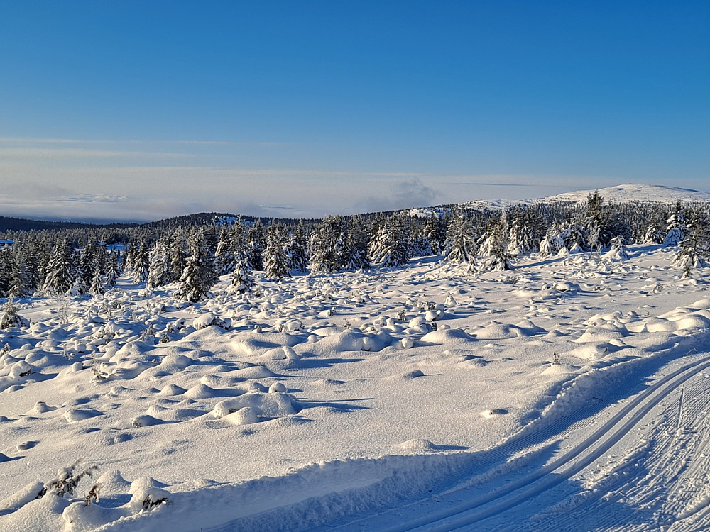 I løypa ved Løvisåsen