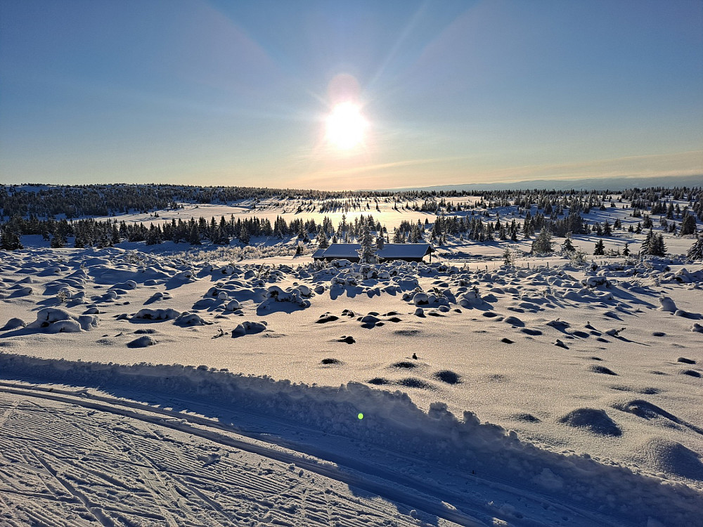 I løypa ved Løvisåsen