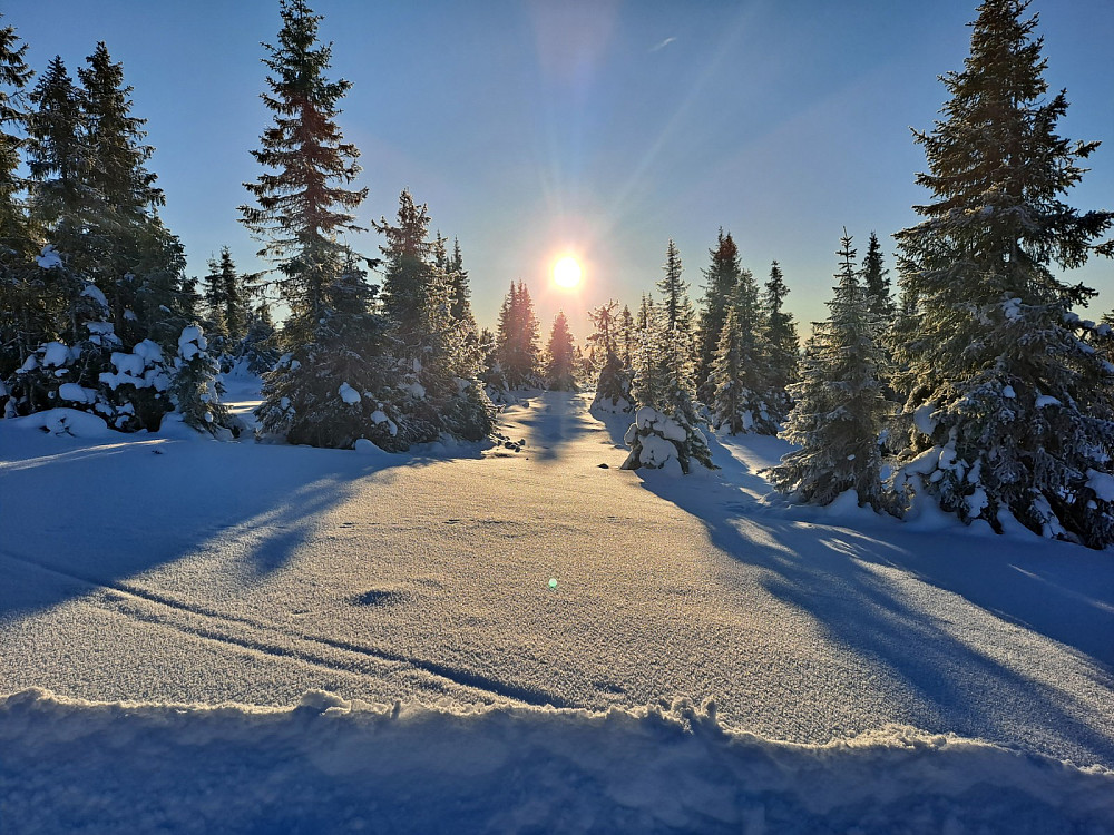 Å veg opp til Nordseterfjellet