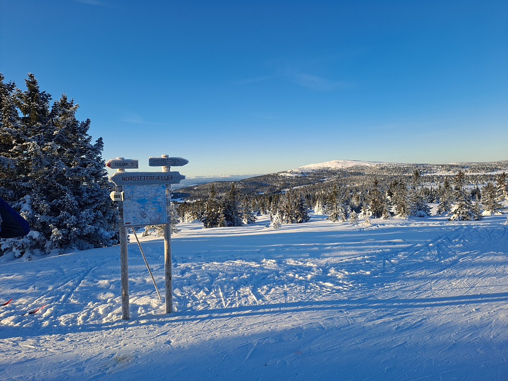På Nordseterfjellet