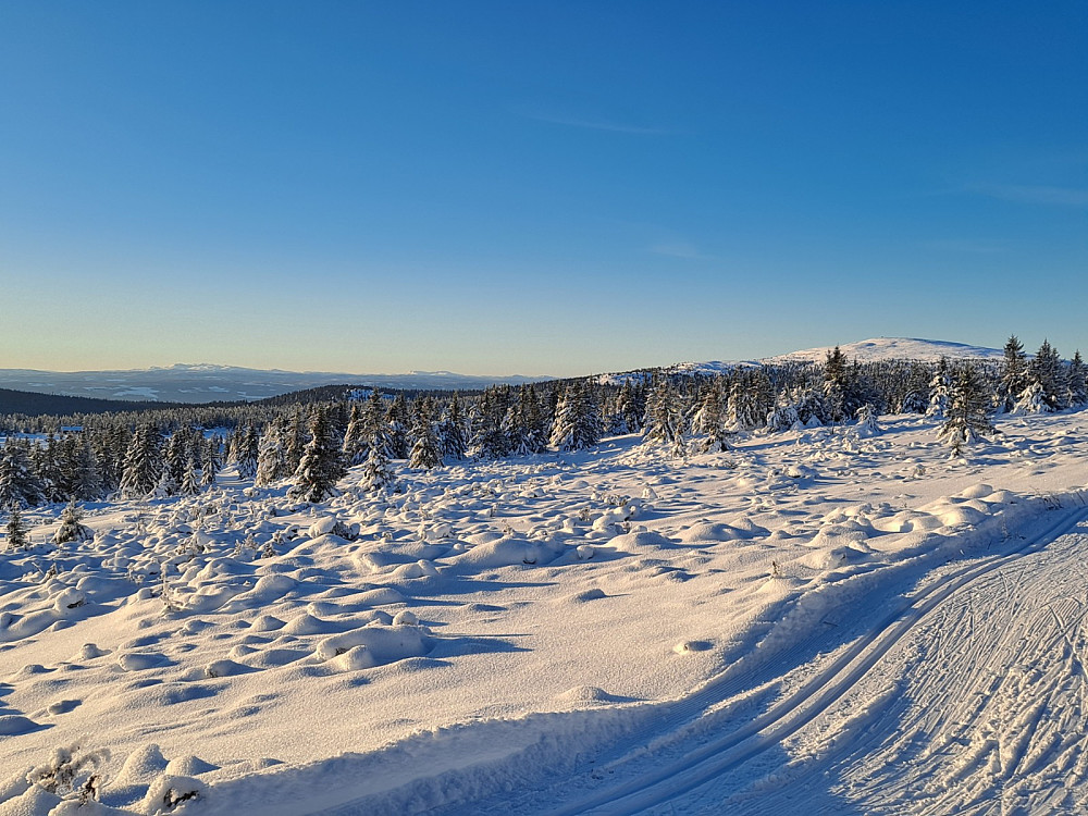 I løypa ved Løvisåsen
