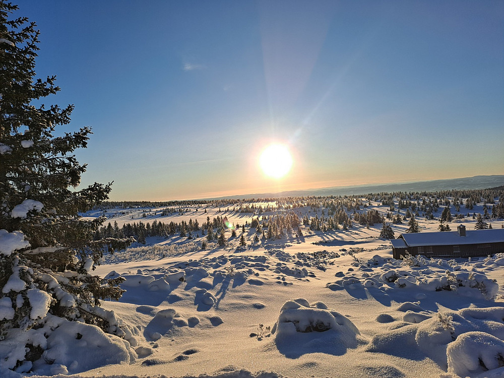  Løypa ved Løvisåsen