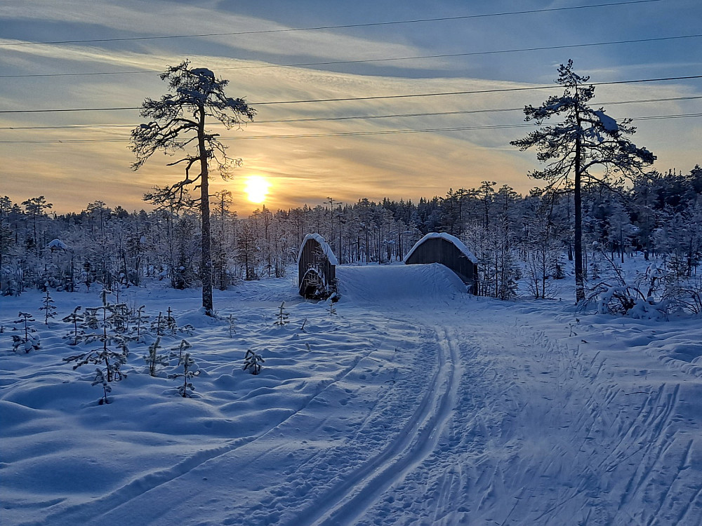 I Birkebeinerløypa ved Kubrua