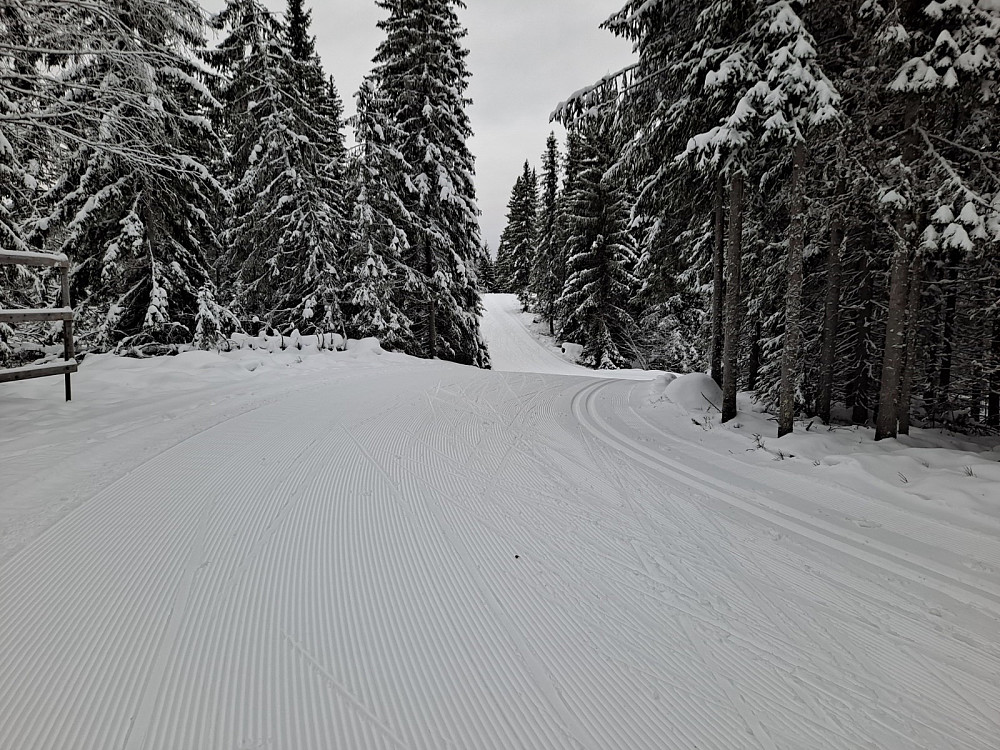 På Kanthaugen
