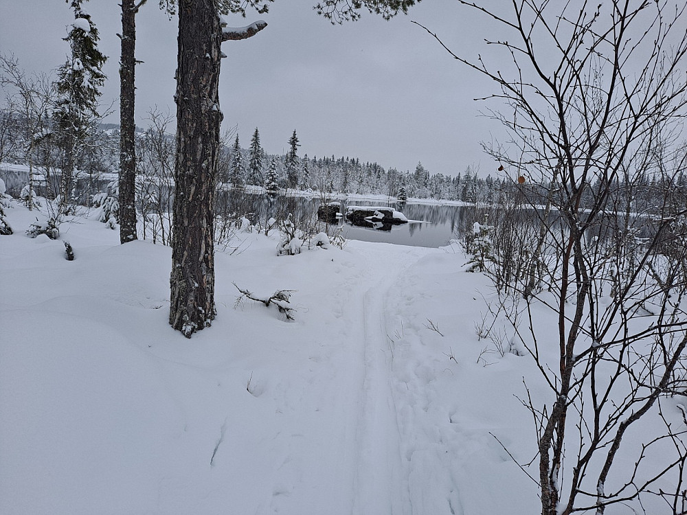 Ved Bottilflø