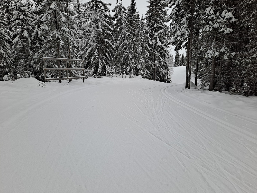 På Kanthaugen