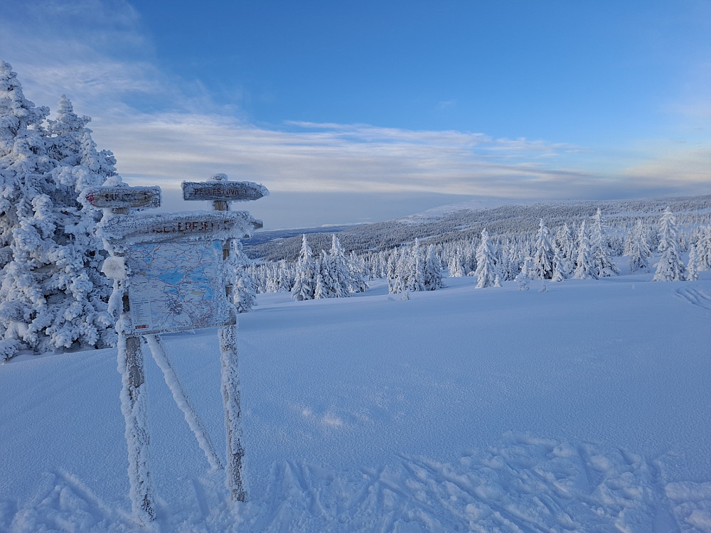 Ved sti-og løypekrysset Nordseterfjellet