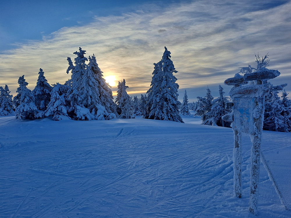 Ved sti-og løypekrysset Nordseterfjellet