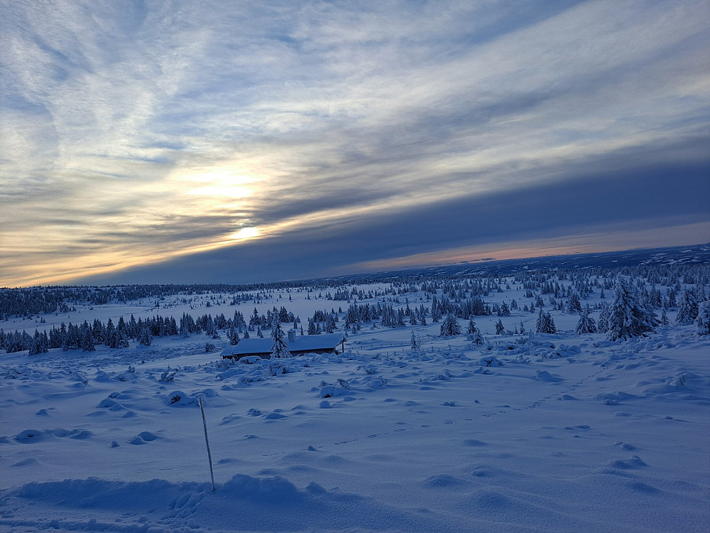 I løypa ved Løvisåsen