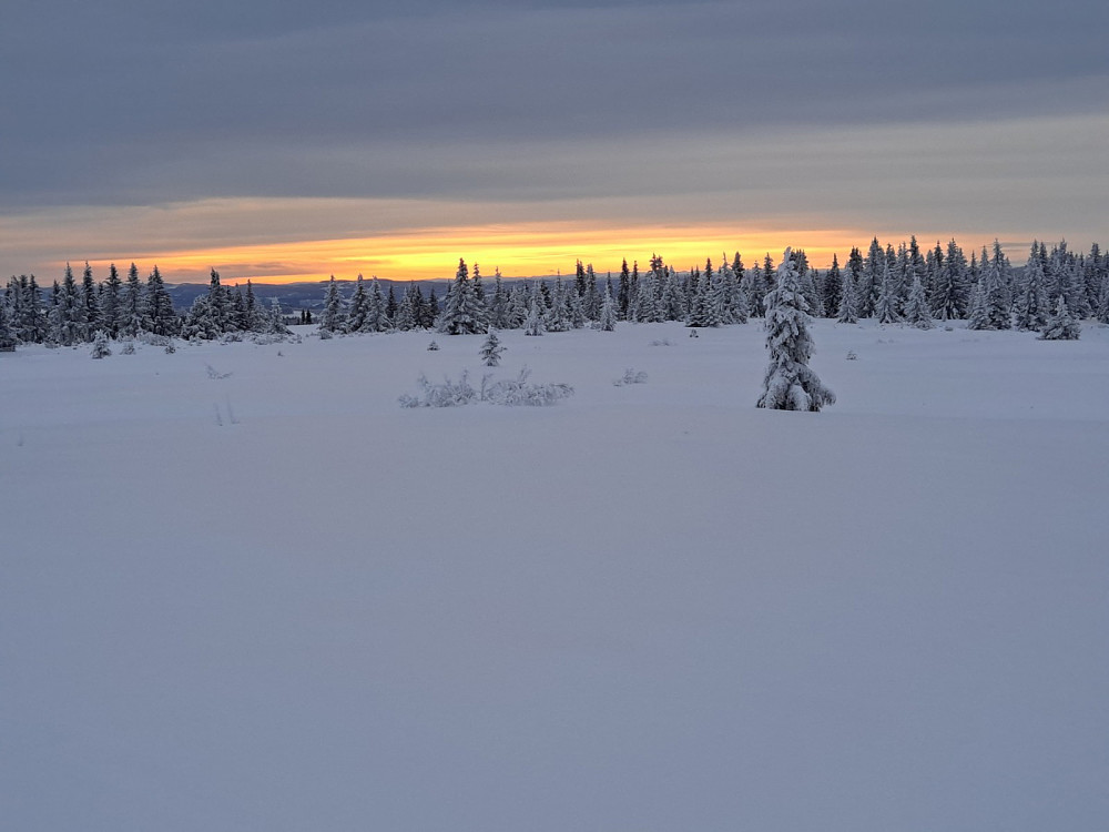 Snart tilbake på Nordseter