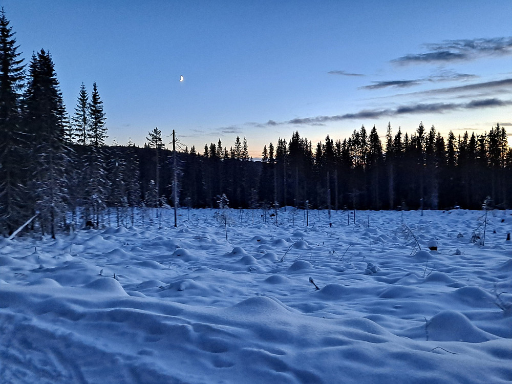 Tilbake ved Kanalen, månen har kommet fram