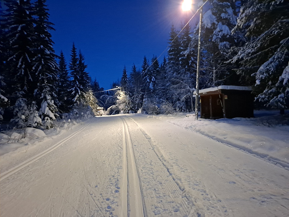 Ved Hammerkoia, lyset kom på