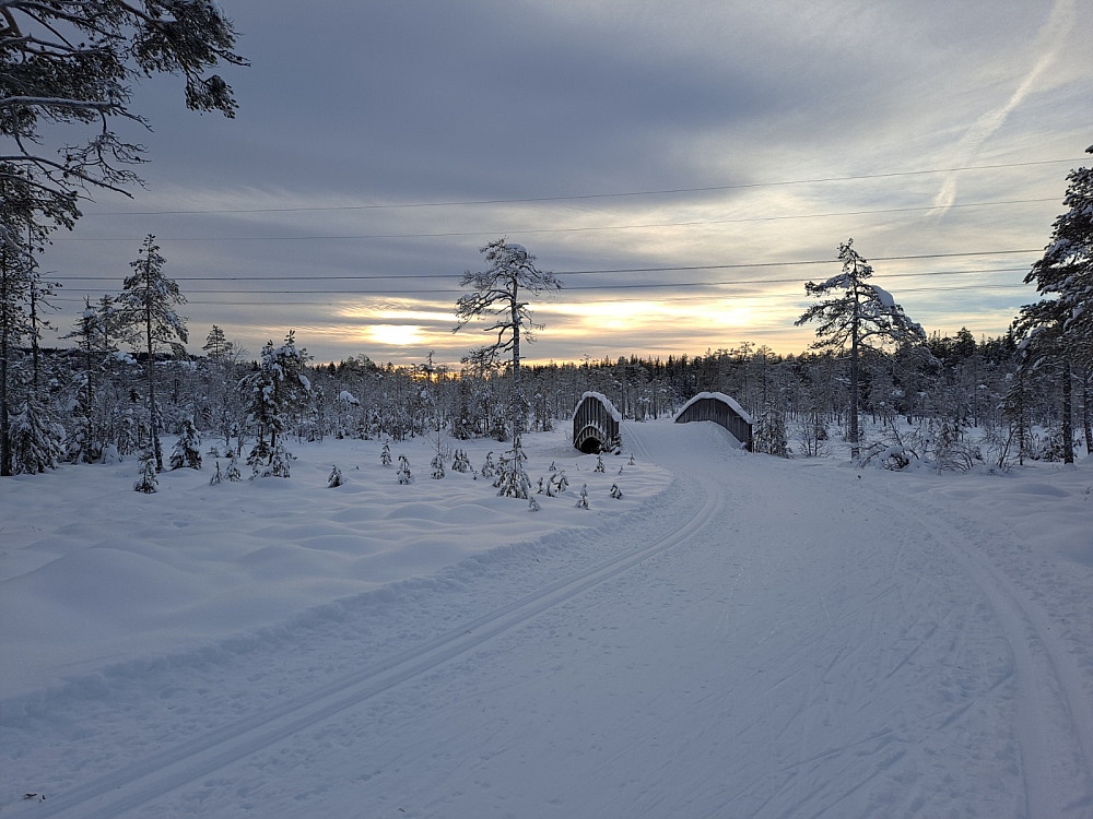 Ved Kubrua