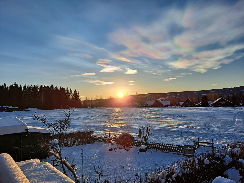 Perlemorskyer og solnedgang
