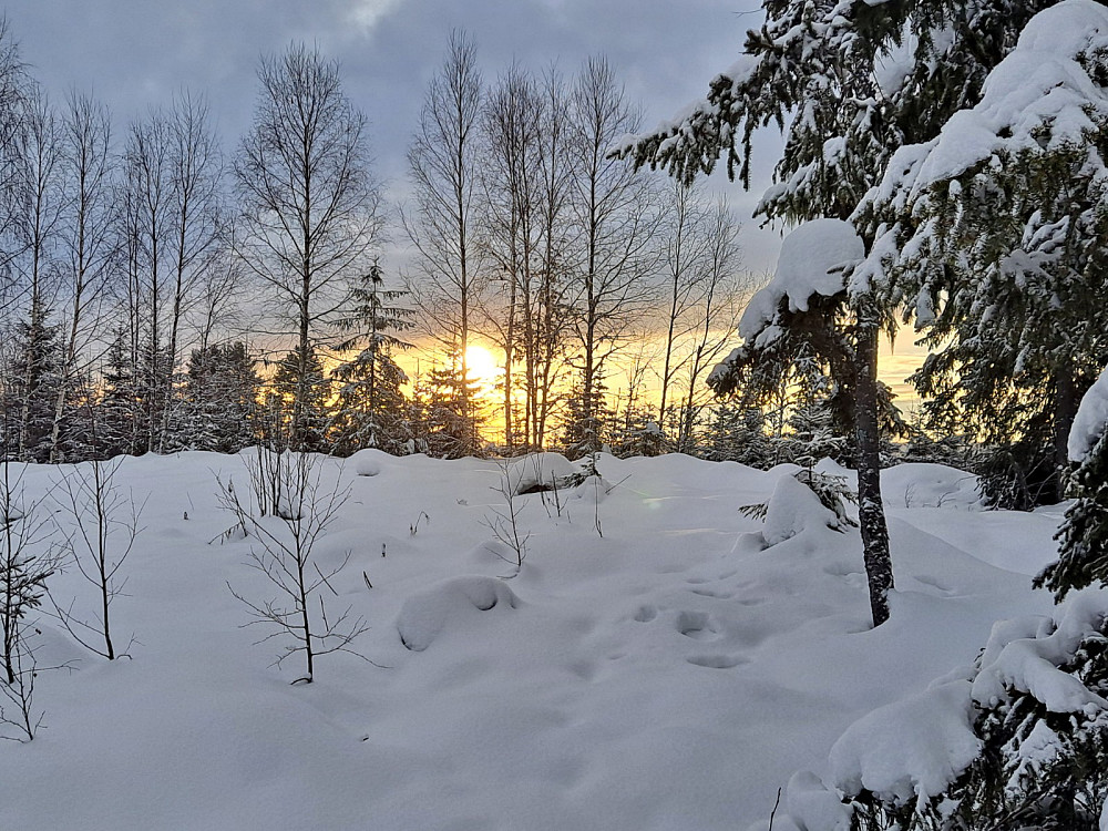 I lysløypa