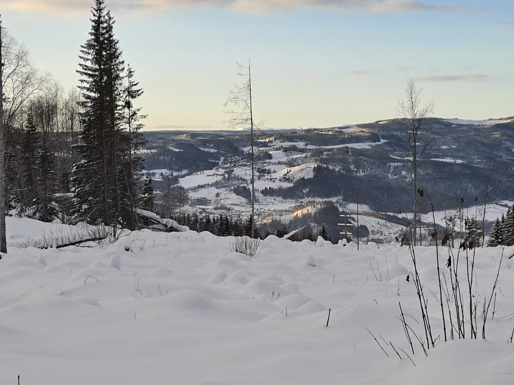 Mot Vingnes og Reistadbakken