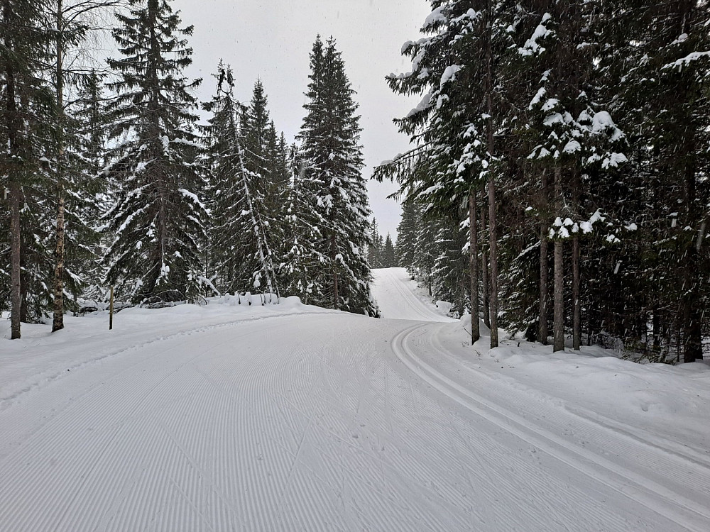 På Kanthaugen