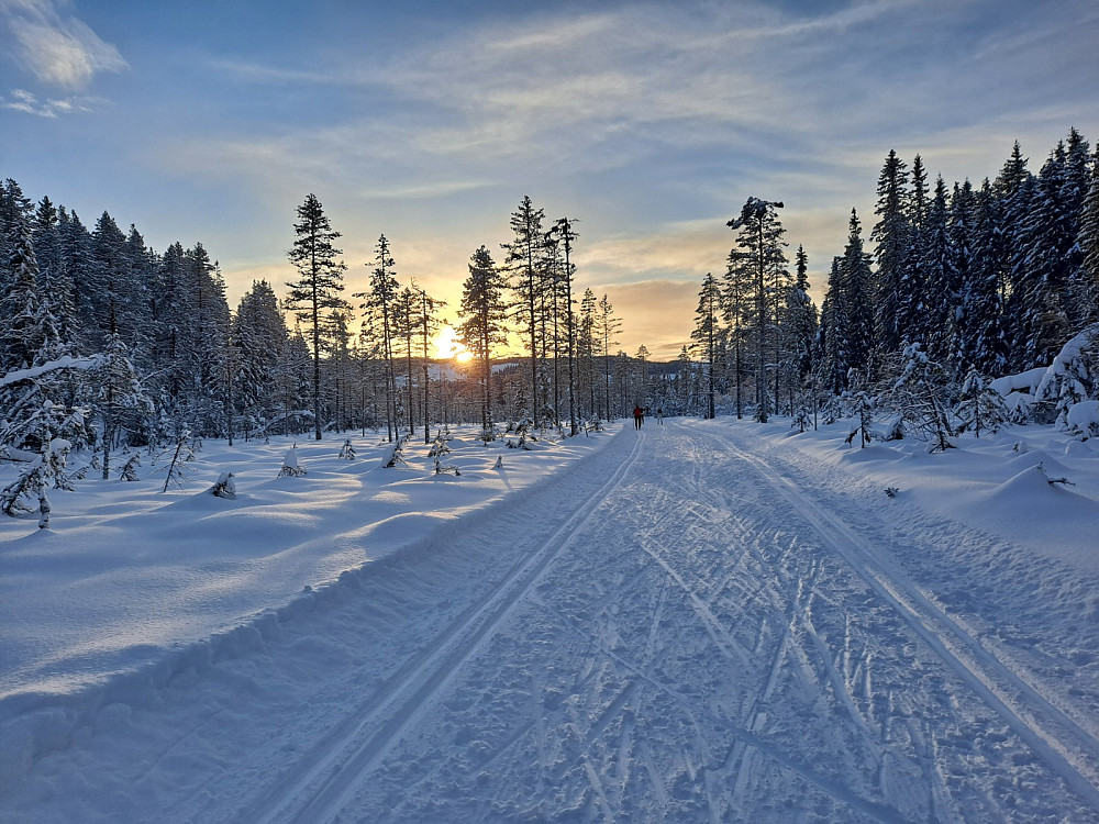 Mellom Mesnasaga og Sagmyra